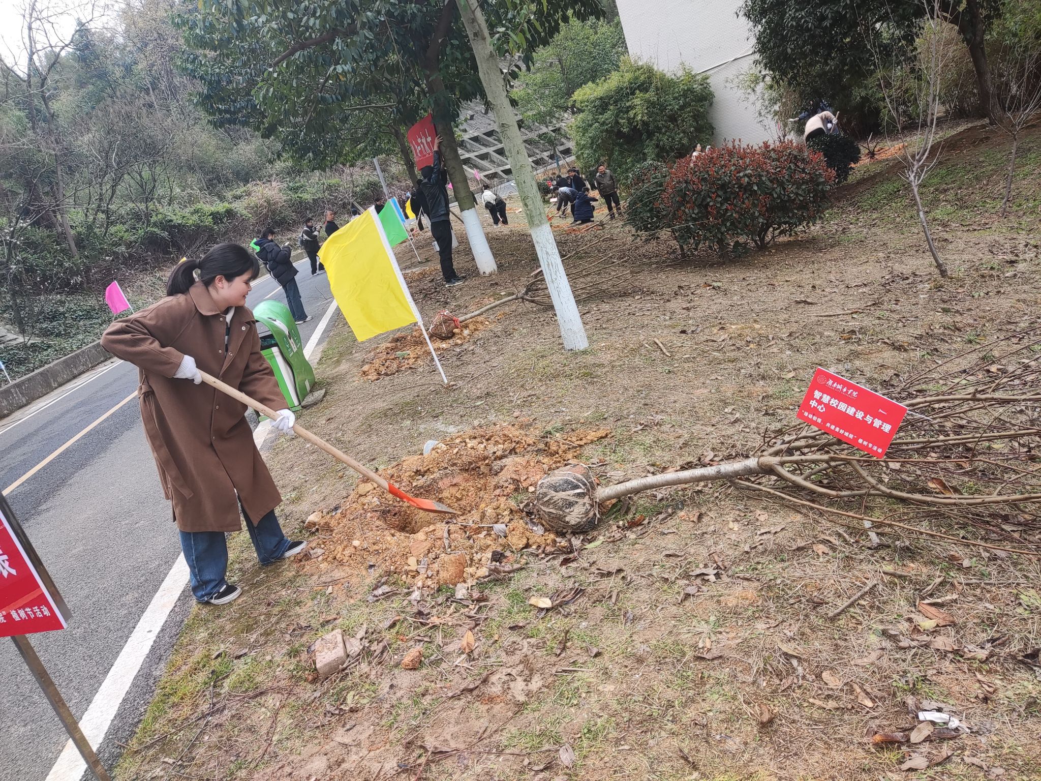 388vip太阳集团